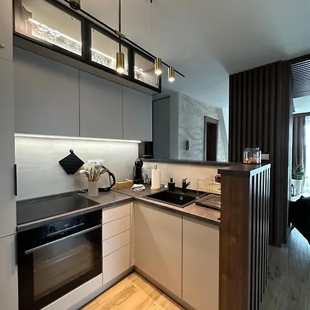 Apartmán Borovi Premium Wellness&spa *