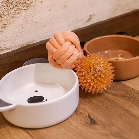 Borovi Premium Wellness&spa Apartmán Divčibare